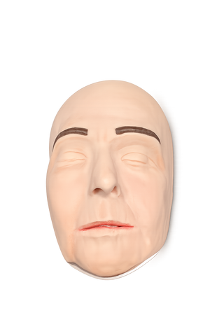 Zsa Zsa Cosmetic Filler Training Model - Face Only