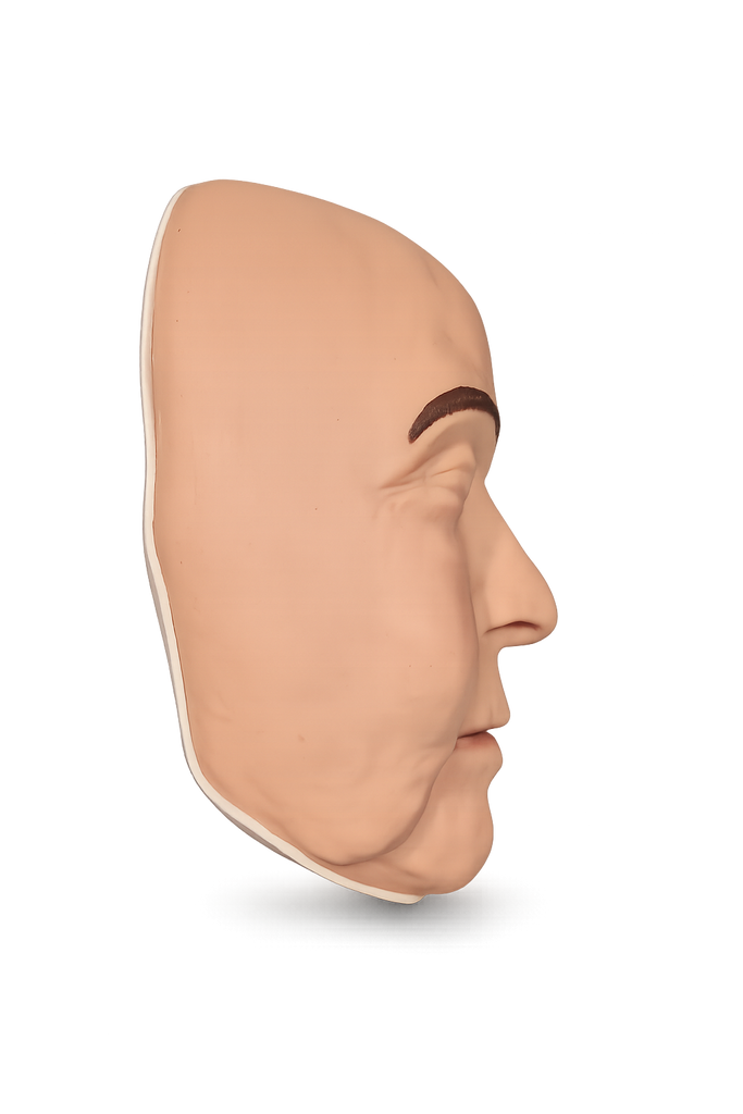 Zsa Zsa Cosmetic Filler Training Model - Face Only