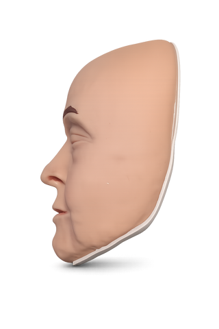 Zsa Zsa Cosmetic Filler Training Model - Face Only