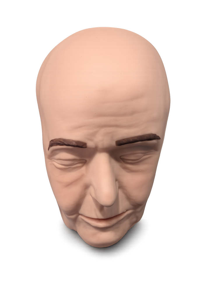 Zsa Zsa Cosmetic Filler Training Model - Face Only